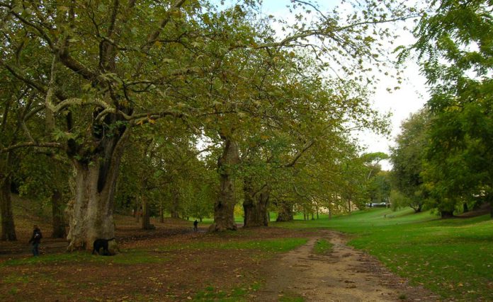 villa Borghese